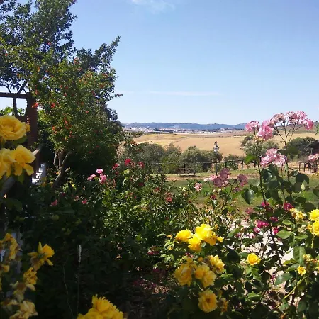 Bellavista Vakantiehuis Ronda