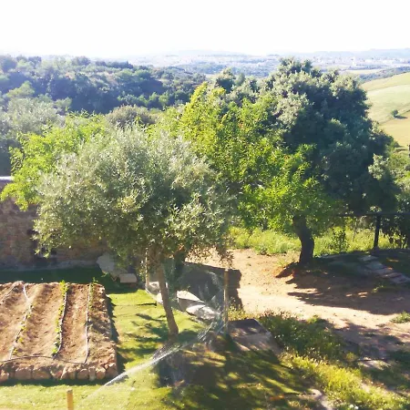 Bellavista