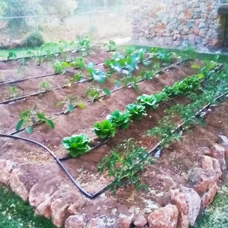 Bellavista בית נופש *