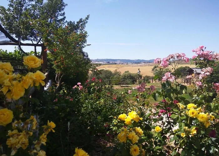 Bellavista Prázdninový dům Ronda