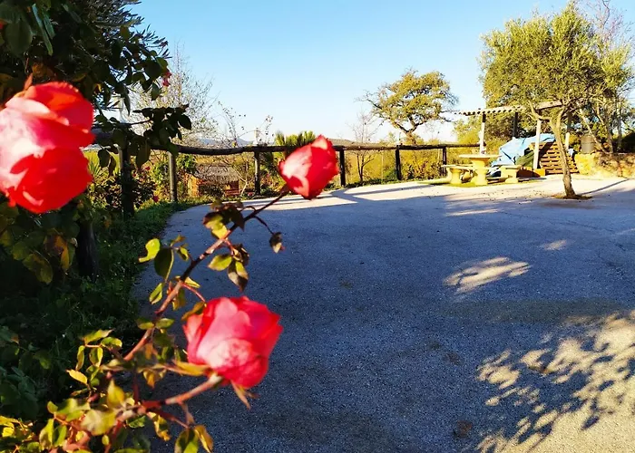 Vakantiehuis Bellavista